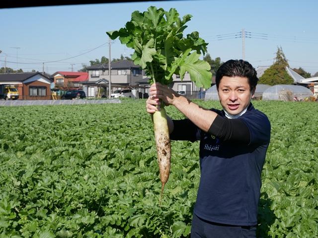 11/15（月）　大根抜きを行いました！！