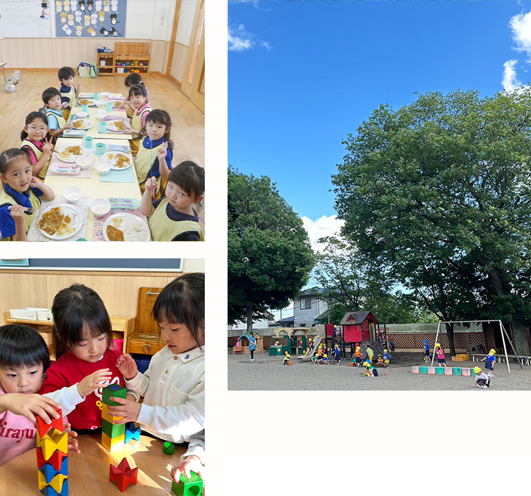 認定こども園しらゆり幼稚園