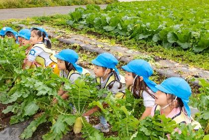 収穫体験（大根抜き）